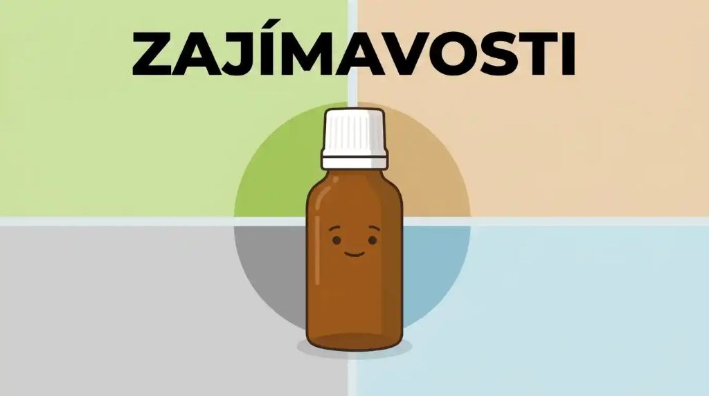 Zajímavosti – co je to komfort
